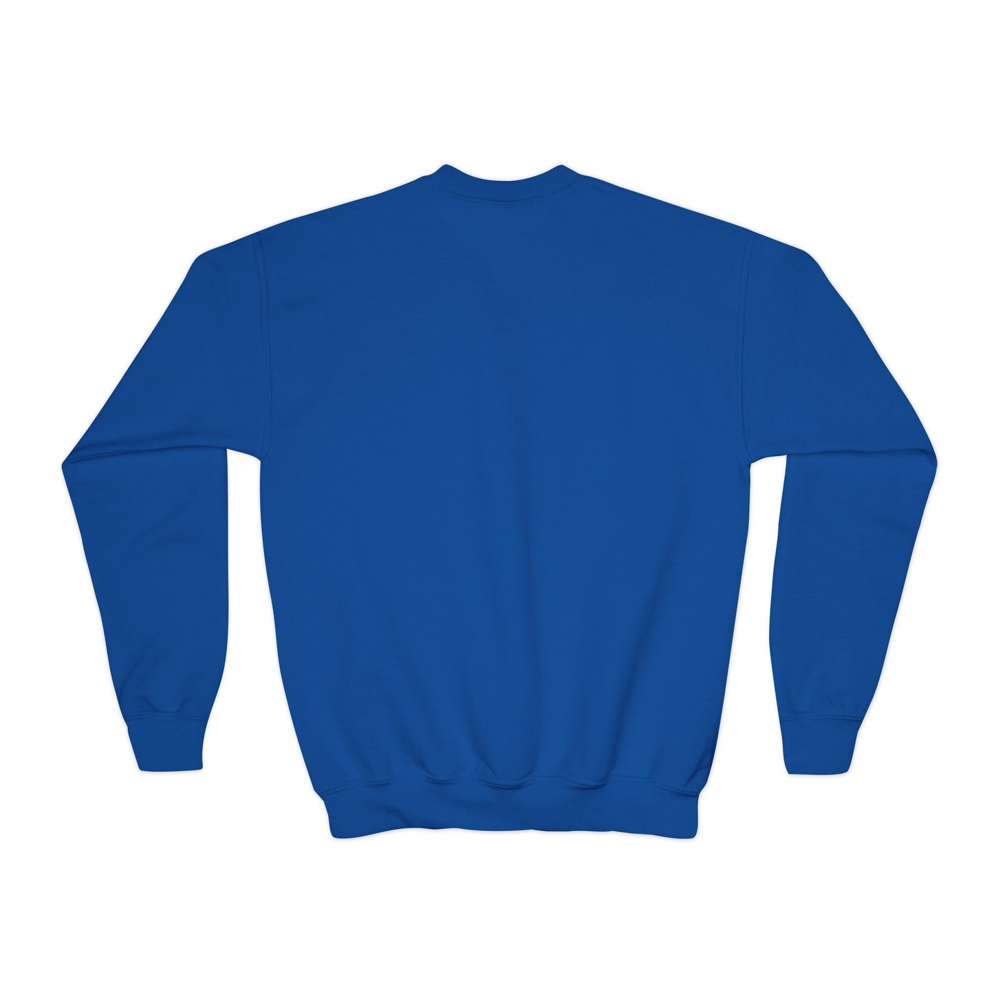 Pink Eagles Youth Sweatshirt